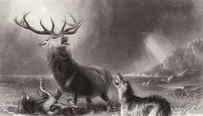 The Stag at Bay od Edwin Landseer