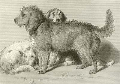 Tři psi od Edwin Landseer