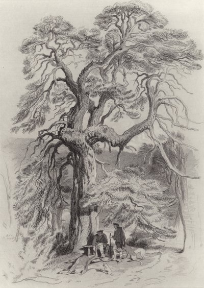 Pod starou jedlí od Edwin Landseer