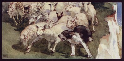Bobtailed ovčácký pes a stádo na útesech (barva litho) od Edwin Noble