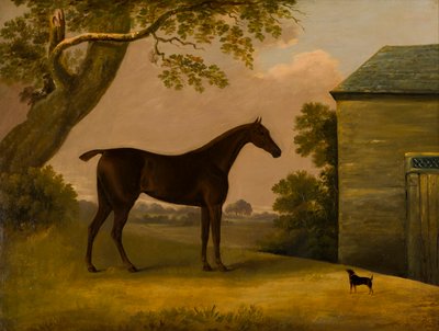 Bay Hunter a teriér mimo stáj, kolem 1805 (olej na plátně) od Edwin W. Cooper