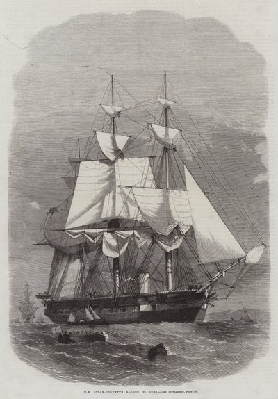 HM Steam-Corvette Racoon, 22 zbraní od Edwin Weedon