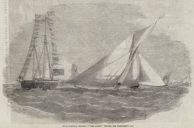 Royal Harwich Regatta, Amazon vyhrál Commodore