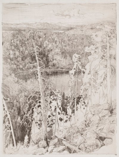 Krajina z Koli; Lesní krajina z Räsävaary od Eero Järnefelt