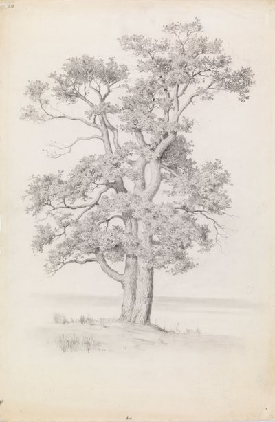  od Eero Järnefelt