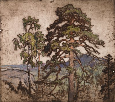 Pohled z Koli od Eero Järnefelt