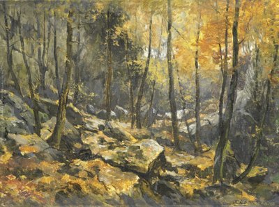 "Felsenmeer" od Egbert Rubertus Derk Schaap