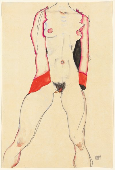 ženské torzo; Weiblicher Torso, 1913 od Egon Schiele