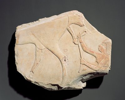 Fragment reliéfu znázorňující narození telete z Asasifu, Théby, třetí přechodné období (asi 1069-664 př.nl) (vápenec) od Egyptian
