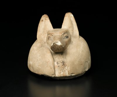 Kryt kanopické nádoby se šakalí hlavou (vápenec) od Egyptian