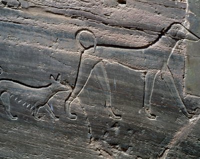 Pár psů, úleva od vchodu, Hrobka Sarenputa II, Hrobky princů, Qubbet el-Hawa, západní břeh Nilu v Asuánu, egyptská civilizace, Říše středu, dynastie XII od Egyptian 12th Dynasty