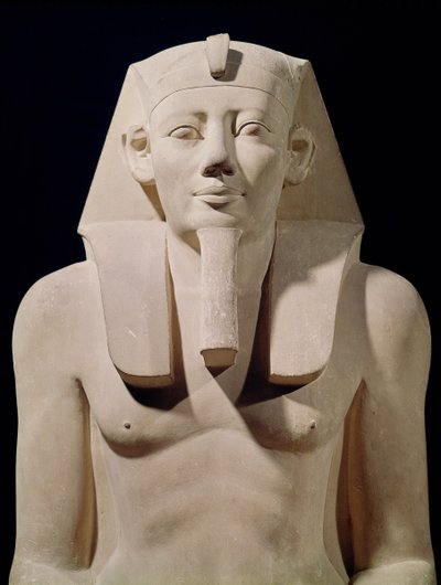 Sedící socha Sesostris I (1971-28 př.nl), původně ze zádušního chrámu Sesostris I v al-Lisht (vápenec) (detail) od Egyptian 12th Dynasty