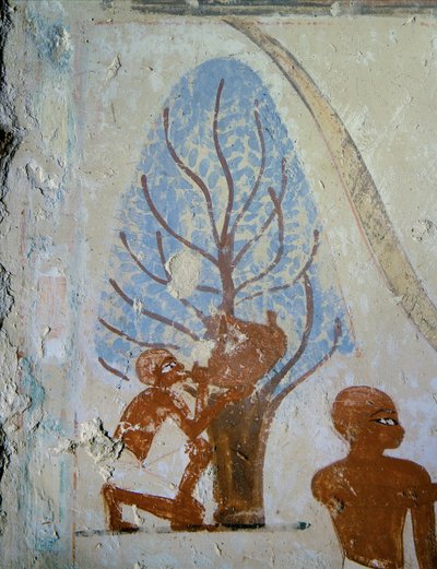  od Egyptian 18th Dynasty