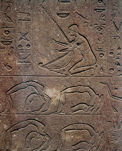 Slavnosti s harfistou a akrobaty, reliéf, Červená kaple Hatšepsut, rekonstrukce vystavená v Karnakském muzeu, Egyptská civilizace, Nová říše, dynastie XVIII od Egyptian 18th Dynasty