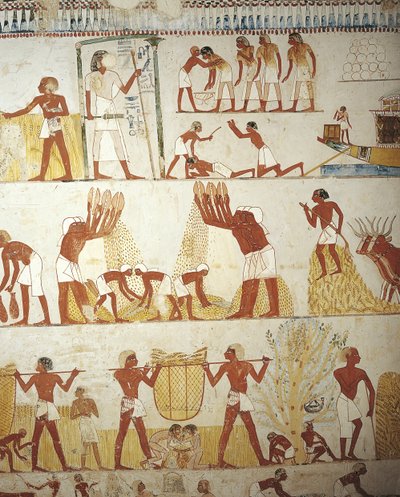 Egypt, Théby, Luxor, Šejk 