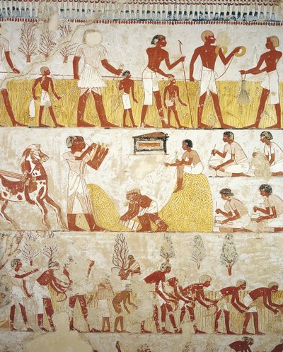 Egypt, Théby, Luxor, Šejk 