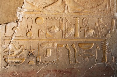 Egyptský starověk: detail nápisu s kazetou a hieroglyfy představující dlouhý život a prosperitu. Chrám zasvěcený královně Hatšepsut (Hatšepsut) (1479 př.nl - 1457 př.nl) Deir el Bahari, Egypt od Egyptian 18th Dynasty