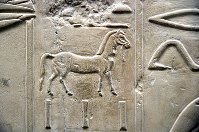 Egyptský starověk: zobrazení koně. Nízký reliéf Hrobky Vizira Ramose (18. dynastie). Luxor, Théby, Údolí šlechticů Egypt od Egyptian 18th Dynasty
