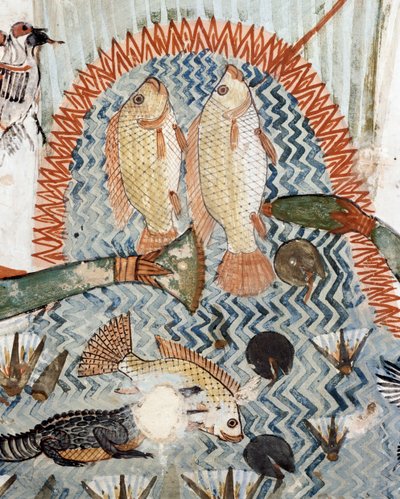 Ryby, detail ze scény lovu a rybolovu v bažinách, freska, severní stěna, podélná komora, Thébská hrobka TT69, Sheikh Abd el-Qurna, Théby (Seznam světového dědictví UNESCO od Egyptian 18th Dynasty