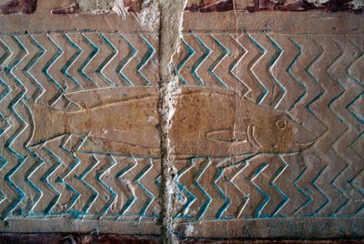 Ryby, výjevy z Punského království, jižní stěna centrální kolonády, Hatšepsutin chrám, Deir el-Bahari, thébská nekropole (Seznam světového dědictví UNESCO). od Egyptian 18th Dynasty