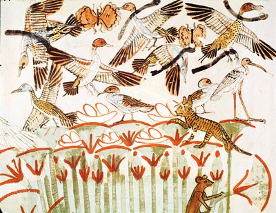 Rybolov a lov ptactva v bažinách, detail ptáků, z hrobové kaple v Menně, Nová říše (nástěnná malba) od Egyptian 18th Dynasty