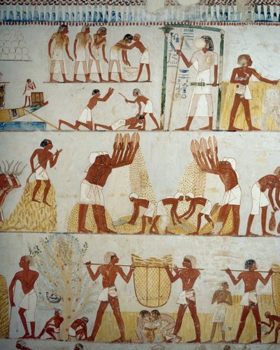 Sklizeň úrody, mlácení a dobývání obilí, detaily z fresek ve vestibulu hrobky Menna, nekropole Sheikh Abd el Qurnah, Luxor, Théby (Seznam světového dědictví UNESCO od Egyptian 18th Dynasty