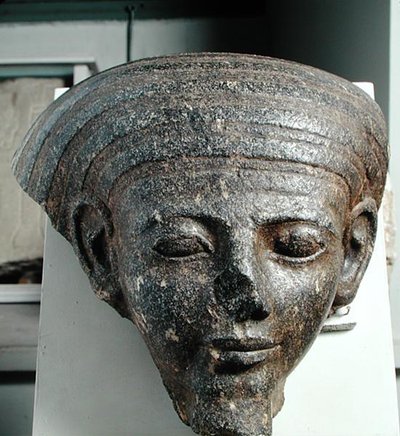Hlava kněze ze sarkofágu, Nová říše, asi 1350 př. n. l. (žula) od Egyptian 18th Dynasty