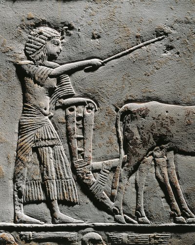 Horemheb orá půdu na polích Iaru, reliéf z Horemhebovy hrobky v Sakkáře, detail od Egyptian 18th Dynasty