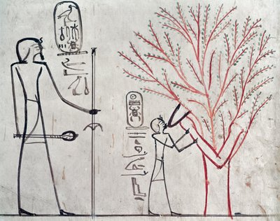 Isis se proměnila v platan kojící Tuthmosis III (asi 1479-1425 př. n. l.) (nástěnná malba) od Egyptian 18th Dynasty