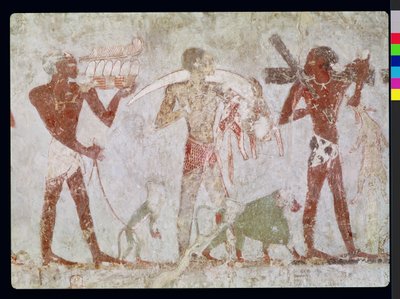 Kushites nesoucí hold zlata, slonoviny a zvířecích kůží, z hrobky Rekhmire, vezíra Tuthmosis III a Amenhotep II, Nová říše (nástěnná malba) od Egyptian 18th Dynasty