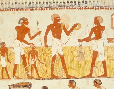 Měření země pomocí lana, z Tomb Chapel of Menna, Nová říše (nástěnná malba) (viz také 251666) od Egyptian 18th Dynasty