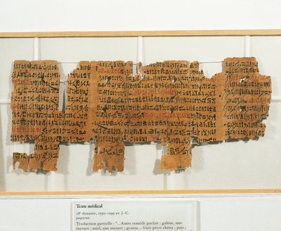Lékařský předpis napsaný na papyru od Egyptian 18th Dynasty