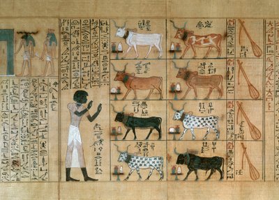 Papyrus s vyobrazením volů z Maiherperovy Knihy mrtvých od Egyptian 18th Dynasty