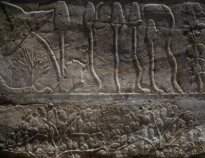 Rostliny přivezené z výpravy Thutmose III. do Sýrie v roce 1465 př. n. l., detail reliéfu, hala známá jako tzv. botanická zahrada, Amonův chrám, chrámový komplex v Karnaku, egyptská civilizace, Nová říše, dynastie XVIII od Egyptian 18th Dynasty