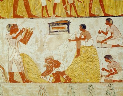 Záznam sklizně, z Mennovy hrobky (nástěnná malba) od Egyptian 18th Dynasty