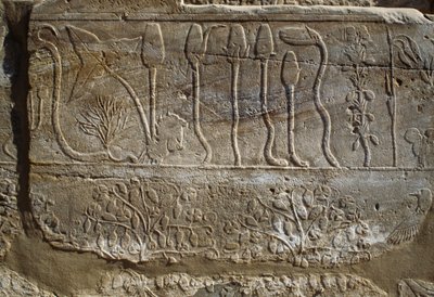Reliéf zvířat a rostlin, které Thutmose III. obětoval Amonovi po návratu z tažení do Sýrie v roce 1465 př. n. l., místnost botanické zahrady, Karnak, thébská nekropole, Luxor, Egypt, Nová říše, dynastie XVIII. od Egyptian 18th Dynasty