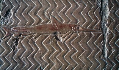 Vyobrazení ryby, výjevy z království Punt, jižní stěna centrální kolonády, Hatšepsutin chrám, Deir el-Bahari, Luxor, Théby (Seznam světového dědictví UNESCO) od Egyptian 18th Dynasty