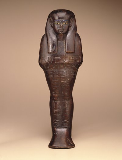 Shawabti of Maya, Nová říše, asi 1390-1353 př.nl (dřevo, barvy a sklo) od Egyptian 18th Dynasty