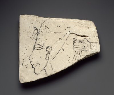 Náčrtky Achnatonovy hlavy a ruky z Velkého paláce v Tell el-Amarna (vápenec) od Egyptian 18th Dynasty