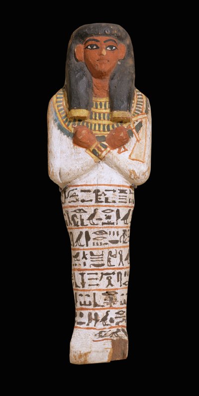Postava Ushebti pro Hapyaa, konec 18. dynastie ... od Egyptian 18th Dynasty
