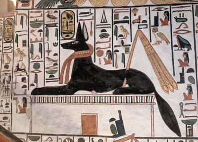 Anubis Tomb Nefertari (nástěnná malba) od Egyptian 19th Dynasty