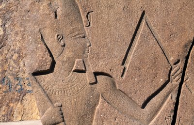 Blok s reliéfy a nápisy Ramesse II, Velký Amonův chrám, Tanis, Egypt, Egyptská civilizace, Nová říše, Dynastie XIX od Egyptian 19th Dynasty