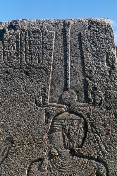 Blok s reliéfy a nápisy Ramesse II, Velký Amonův chrám, Tanis, Egypt, Egyptská civilizace, Nová říše, Dynastie XIX od Egyptian 19th Dynasty