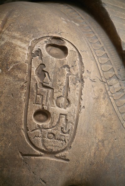 Kartuše na paži, rytina z Kolosu Ramsese II., Memfis (Seznam světového dědictví UNESCO) od Egyptian 19th Dynasty