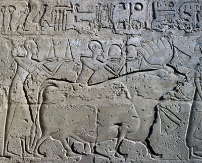 Postavy symbolizující důlní revíry přinášející své dary bohu, reliéf, nádvoří Ramsese II., Amonův chrám (Seznam světového dědictví UNESCO) od Egyptian 19th Dynasty