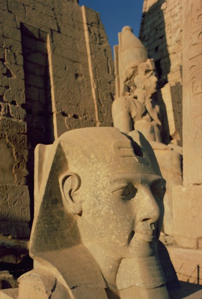 Kolosální hlava Ramesse II (1298-32 př.nl) Nová říše od Egyptian 19th Dynasty