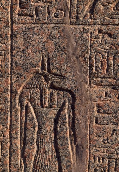 Vyobrazení Anubise, detail nápisu a reliéfu Anubise a jiného boha, Amenhotepův sarkofág, Memfis (Seznam světového dědictví UNESCO) od Egyptian 19th Dynasty