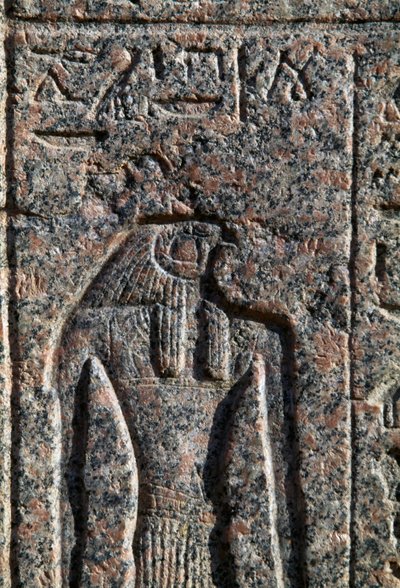 Vyobrazení Hora, nápis a reliéf Hora a Thóta, Amenhotepův sarkofág, Memfida, Egypt, Nová říše, 19. dynastie od Egyptian 19th Dynasty