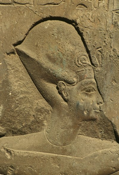 Detail reliéfu zobrazujícího hlavu faraona (kámen) od Egyptian 19th Dynasty