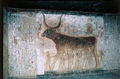 Egypt, Luxor, Údolí králů, hrobka Setiho I., vnitřní fresky zobrazující bohyni Nut jako krávu od Egyptian 19th Dynasty